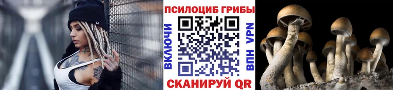 площадка состав  Великий Устюг  Псилоцибиновые грибы Magic Shrooms 